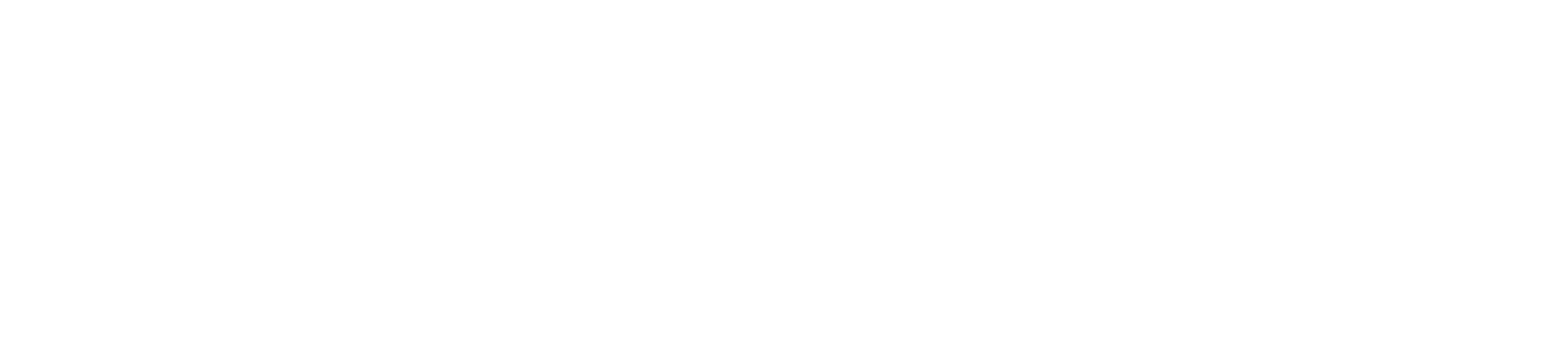 Kaya VW Logo